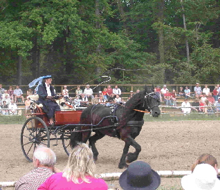 DSCN0378.redJPG