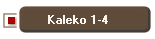 Kaleko 1-4