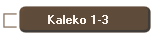 Kaleko 1-4